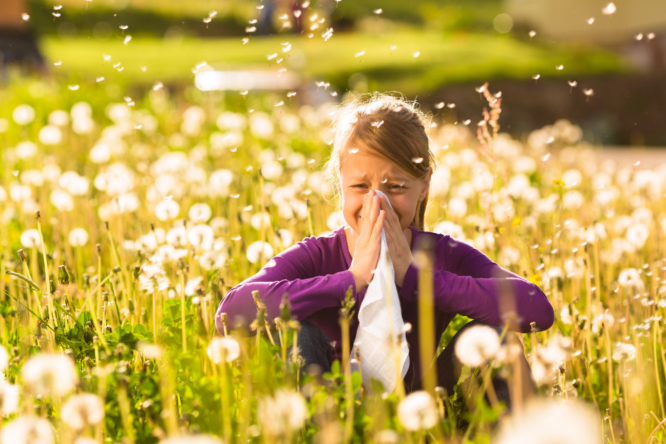 allergy-666×444 allergy-666×444
