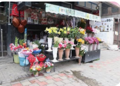 flower shop near me