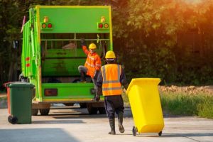 Garden Waste Removal