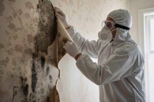 imageye___-_imgi_179_AdobeStock_1288462345-scaled